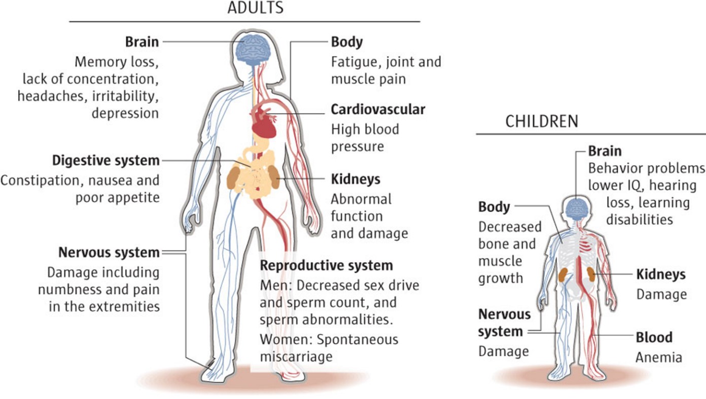 lead poisoning symptoms in adults